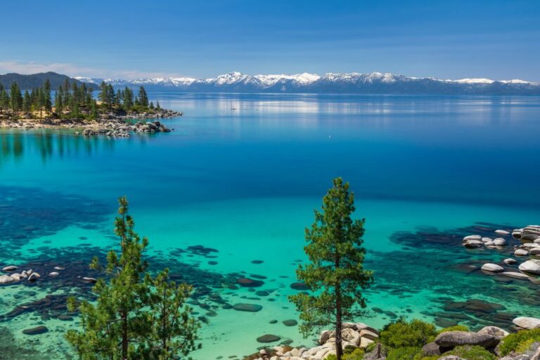 Lake Tahoe Elopement: Costs, Locations, + Permits For Your Wedding Day [2022]