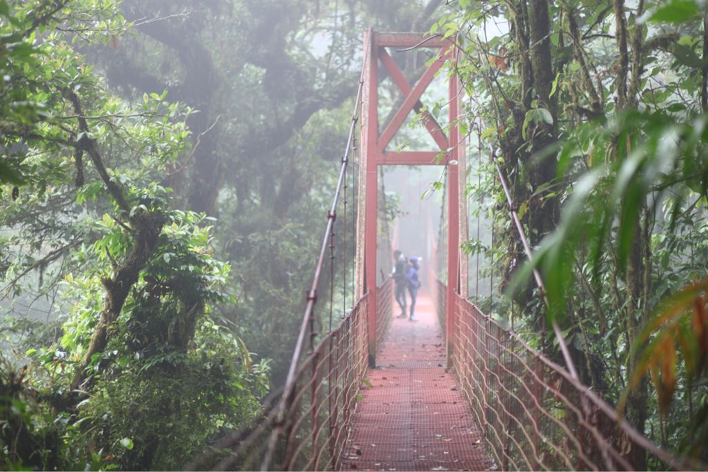 Monteverde Cloud Forest in Costa Rica is the perfect place for an elopement.