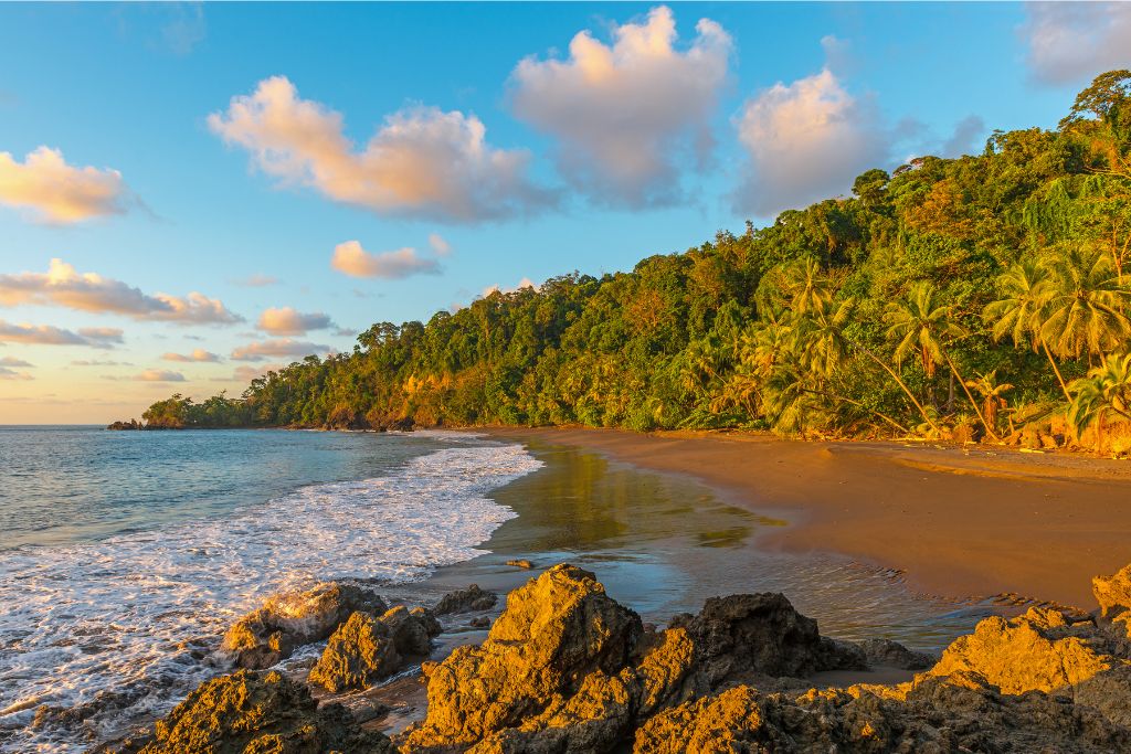 The beach at Corcovado National Park.