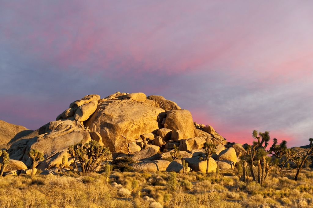 Cap Rock is a fantastic place to get married in Joshua Tree.