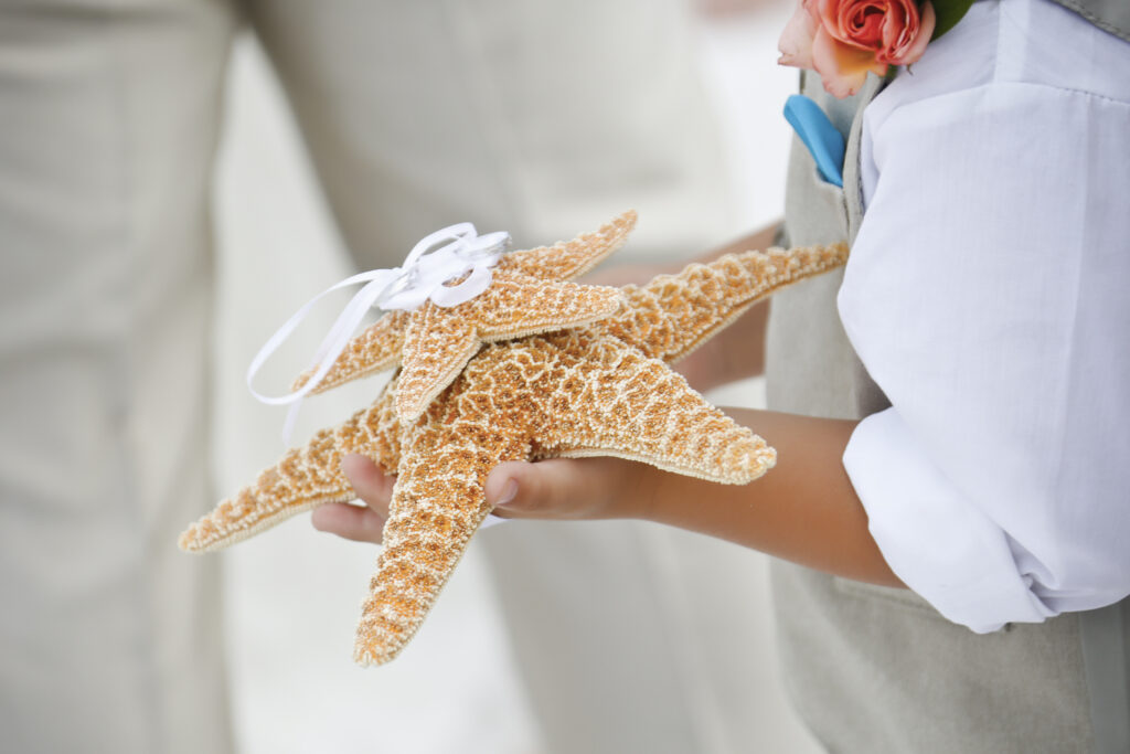 Rings on starfish as part of a Florida elopement ceremony